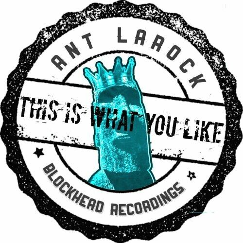Ant Larock - This Is What Like (original Mix) on Revolution Radio
