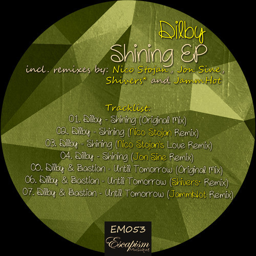 Dilby - Shining (jon Sine Remix) on Revolution Radio