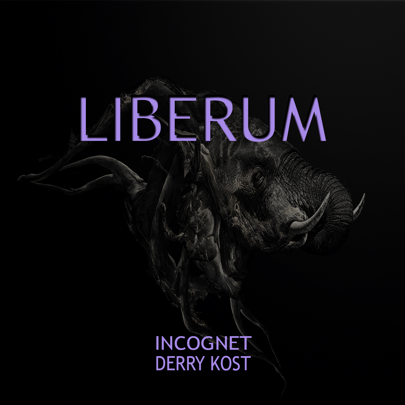 Incognet, Derry Kost - Liberum (original Mix) on Revolution Radio