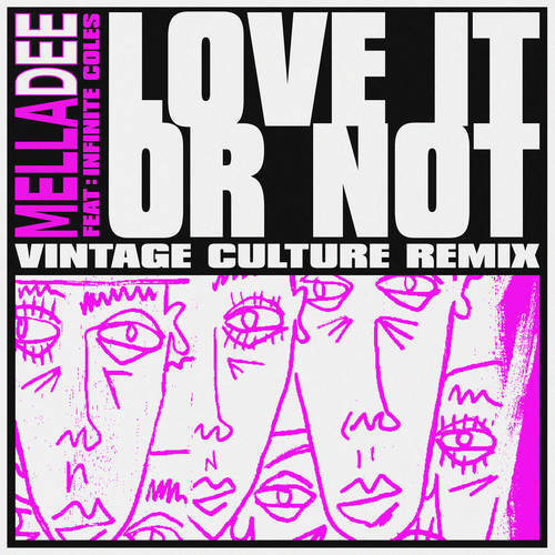 Mella Feat. Infinite Coles - Love It Or Not (vintage Culture Extended Remix) on Revolution Radio