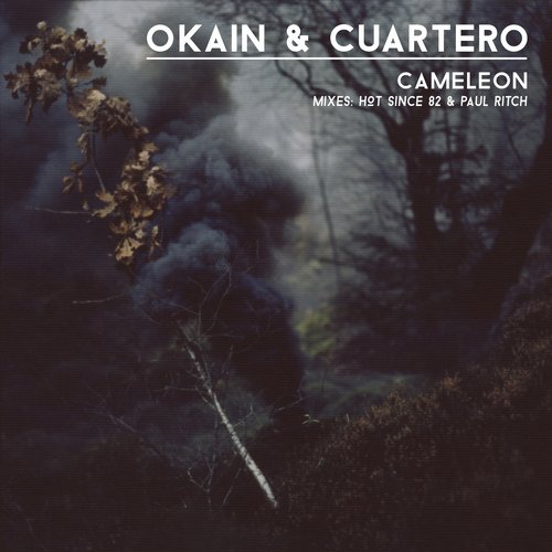 Okain And Cuartero - Cameleon (hot Since 82 Remix) on Revolution Radio