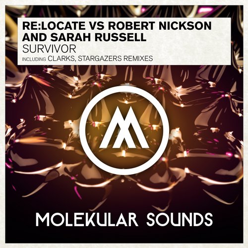 Re Locate, Robert Nickson, Sarah Russell - Survivor (stargazers Remix) on Revolution Radio