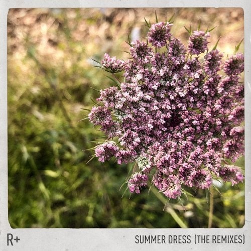 R Plus - Summer Dress (amtrac Remix) on Revolution Radio