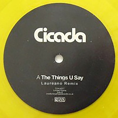 Cicada - The Things Say (laureano Remix) on Revolution Radio