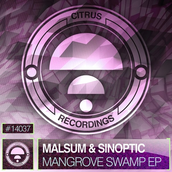 Malsum And Sinoptic - Mangrove Swamp on Revolution Radio