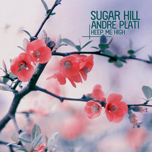 Andre Plati, Sugar Hill - Keep Me High (original Mix) on Revolution Radio