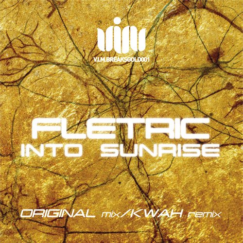 Fletric - Into Sunrise (kwah Remix) on Revolution Radio
