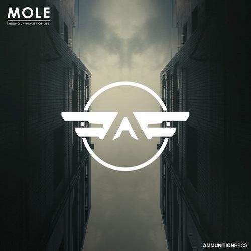 Mole - Reality Of Life (original Mix) on Revolution Radio
