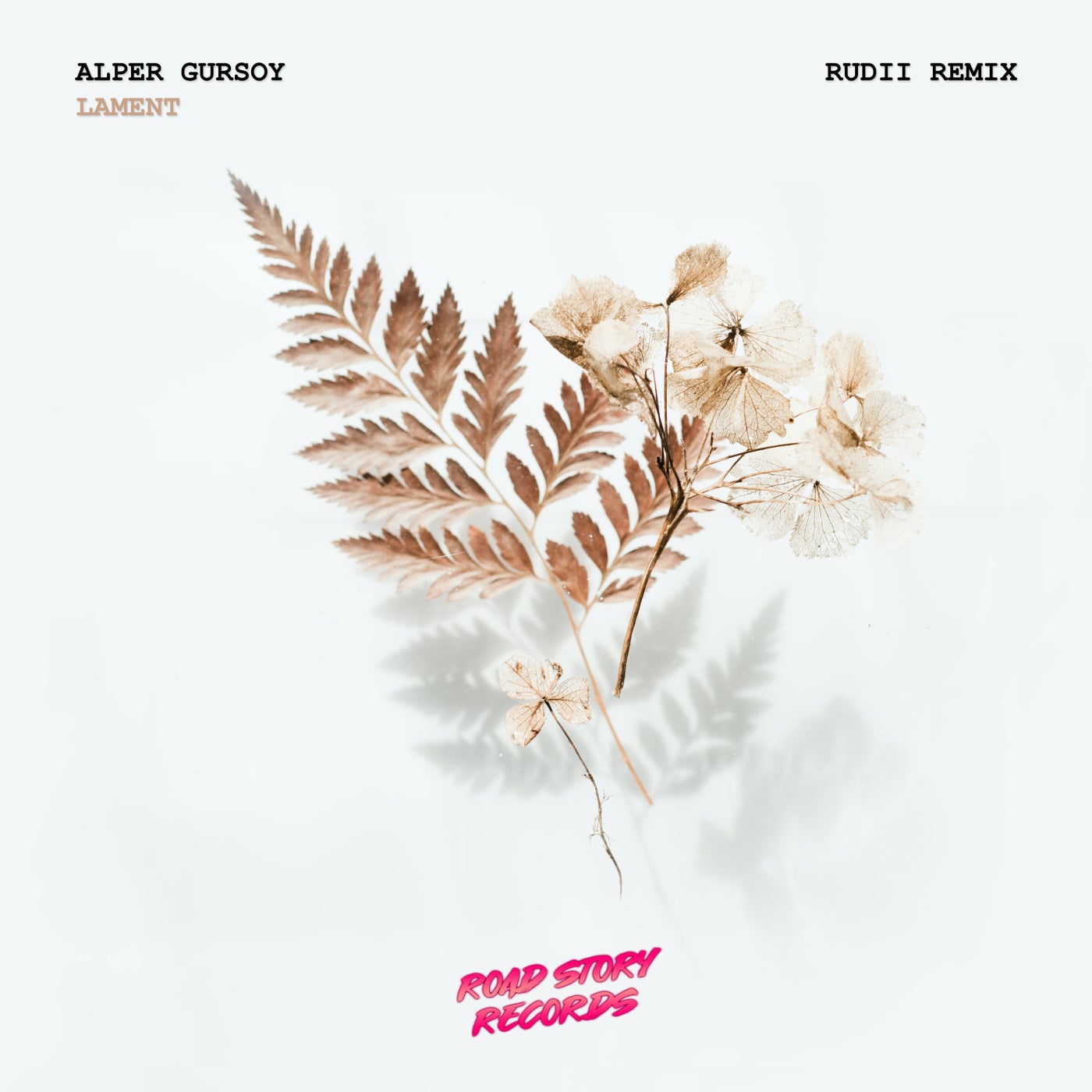 Alper Gursoy - Lament (rudii Extended Mix) on Revolution Radio