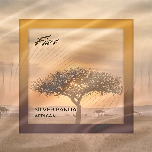 Silver Panda - African (original Mix) on Revolution Radio