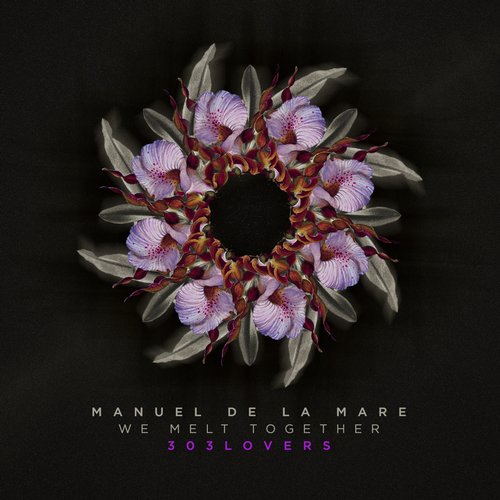 Manuel De La Mare - We Melt Together (original Mix) on Revolution Radio