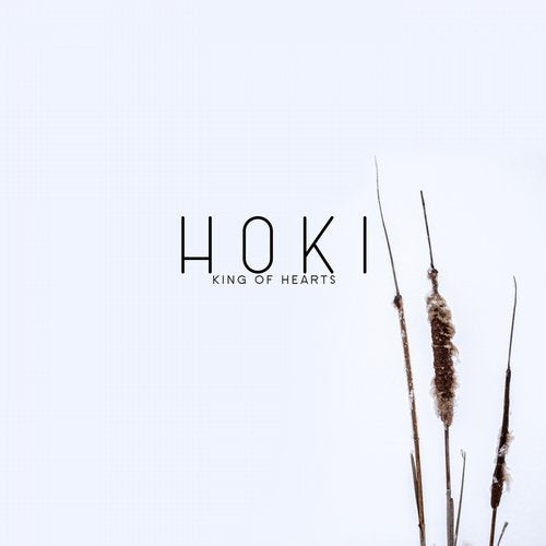 Hoki - King Of Hearts (martin Roth Remix) on Revolution Radio