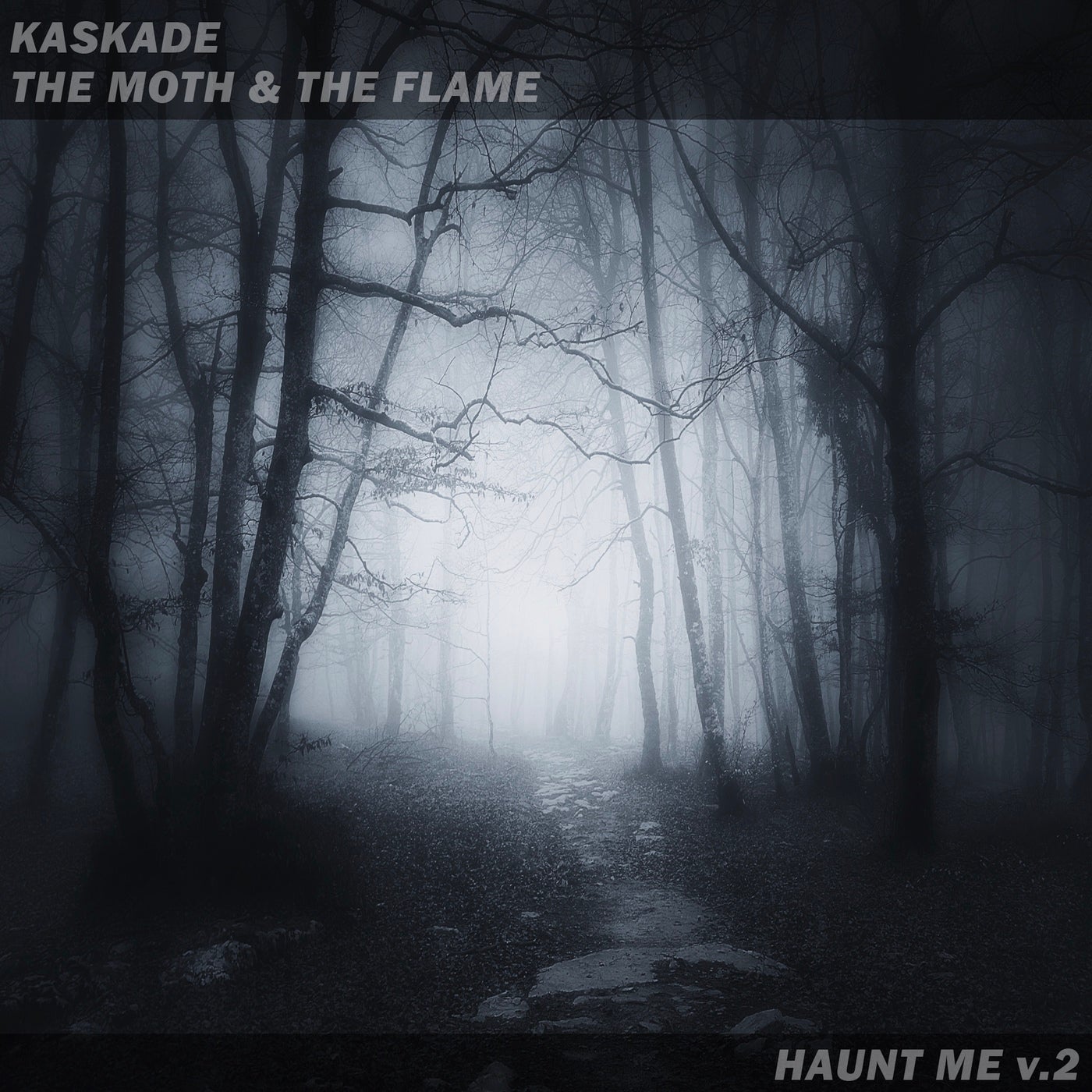 Kaskade, The Moth And The Flame - Haunt Me V.2 (extended) on Revolution Radio
