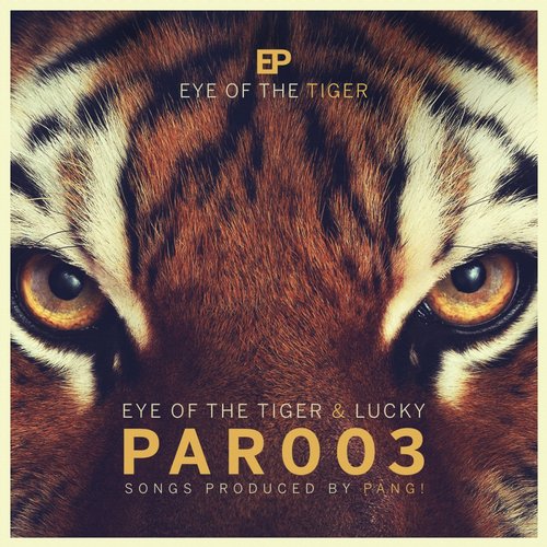 Pang! - Eye Of The Tiger (original Mix) on Revolution Radio