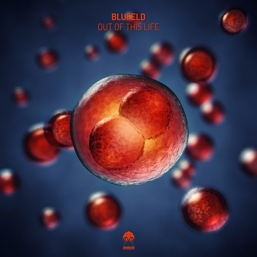 Blufeld - Out Of This Life (original Mix) on Revolution Radio