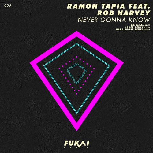 Ramon Tapia, Rob Harvey - Never Gonna Know (original Mix) on Revolution Radio