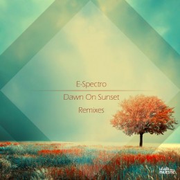 E Spectro - Dawn On Sunset (vla Dsound Remix) on Revolution Radio