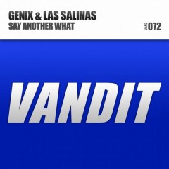 Genix And Las Salinas - Say Another What (awd Remix) on Revolution Radio