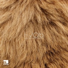 Hvob - Lion (wolfram Remix) on Revolution Radio