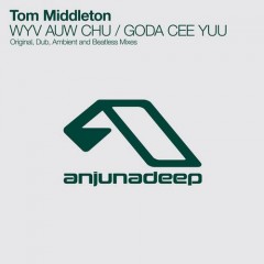 Tom Middleton - Wyv Auw Chu (ambient Mix) on Revolution Radio